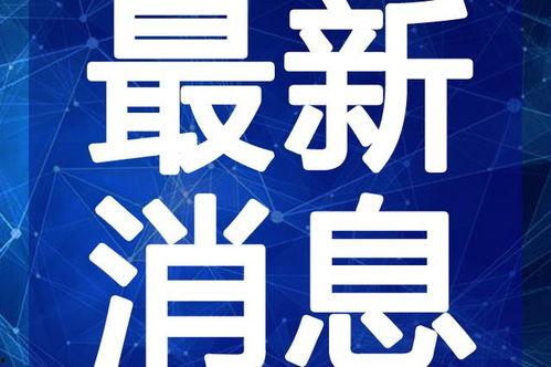 风景哥最新爆料视频大全,揭秘幕后精彩瞬间