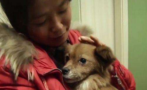 狗子黑料爆料视频大全最新,最新爆料视频大全深度解析