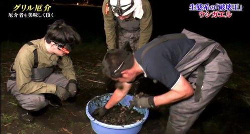 牛哥最新爆料新闻视频