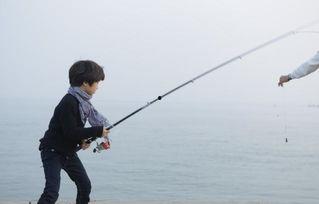 钓鱼爆料视频大全集最新,最新爆料视频大全集深度解析