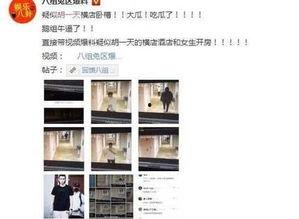 全国黑料爆料视频最新版,揭秘娱乐圈惊人内幕