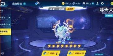 飞车最新宠物秘境爆料,探寻未知领域，解锁神秘力量