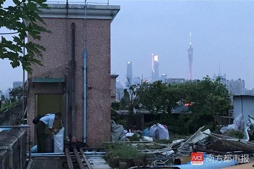 广州海珠区最新爆料,揭秘城市变迁中的热点事件