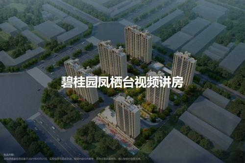 碧桂园凤栖台最新爆料,奢华配套与生态宜居完美融合”