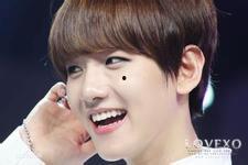 边伯贤圈内爆料视频最新,独家爆料视频大公开