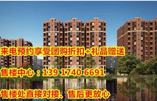 安康碧桂园爆料最新消息,揭秘项目进展与未来规划”