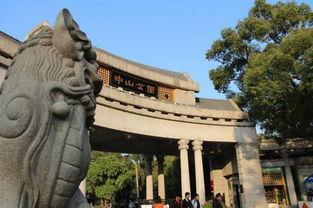 中山公园最新爆料信息网,揭秘公园焕新背后的故事