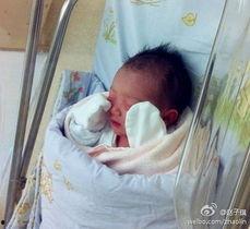 赵子琪最新爆料,揭秘娱乐圈不为人知的幕后真相  第3张