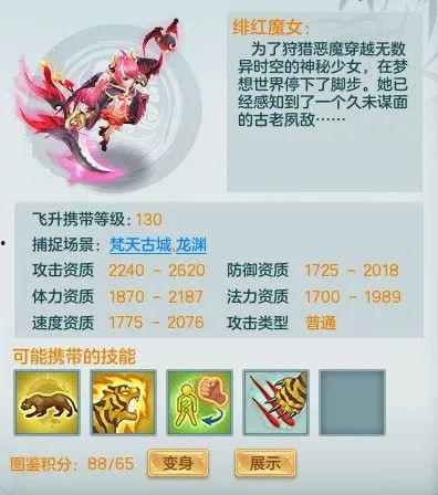 晶核最新金宠物爆料