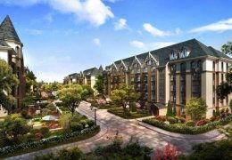 依云小镇爆料最新消息,揭秘神秘项目即将盛大启幕! 第2张 依云小镇爆料最新消息,揭秘神秘项目即将盛大启幕! 第2张