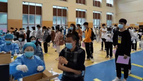 西安飞翔最新爆料信息,揭秘项目进展与未来规划  第2张