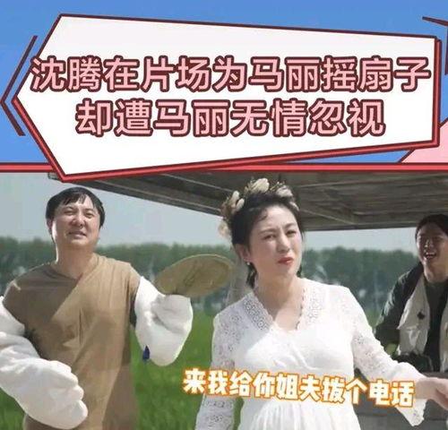 沈腾八卦最新爆料,揭秘娱乐圈背后的惊人真相  第3张