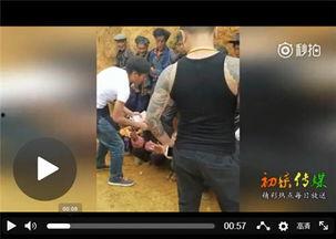 快手杰哥爆料视频大全最新,揭秘幕后故事与精彩瞬间  第3张