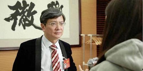 郑强最新爆料视频在线观看,深度剖析事件背后真相