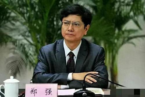 郑强最新爆料视频在线观看,深度剖析事件背后真相  第2张