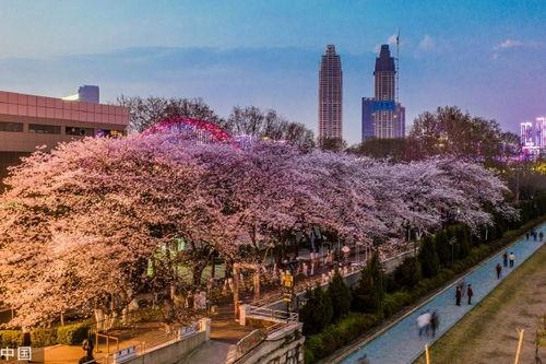 抖音最新吃瓜爆料入口,一网打尽热门话题，揭秘娱乐圈幕后真相！