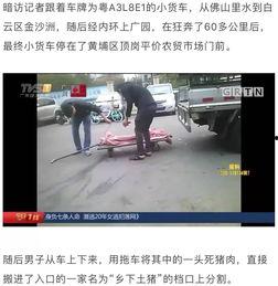 猪肉爆料视频大全集最新,揭秘行业真相与食品安全