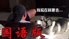 二哈视频爆料大全最新